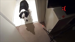 Трахает сонную сестру в киску